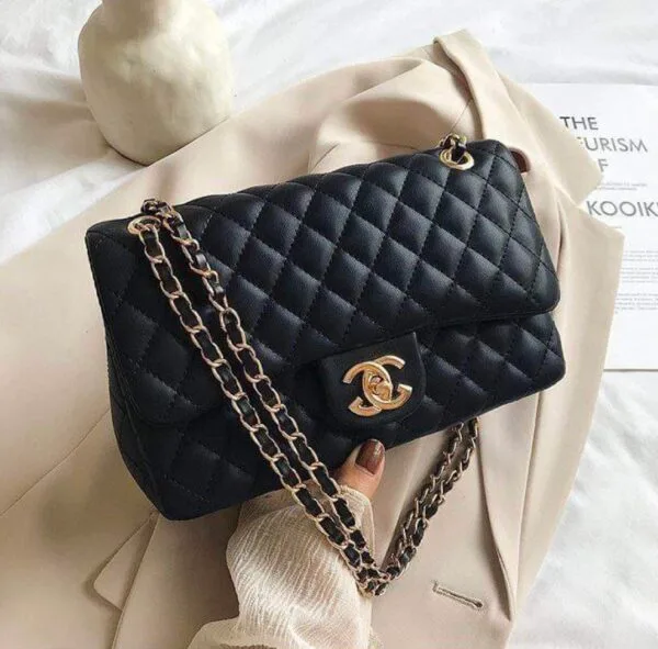 Ladies fashion bag 256