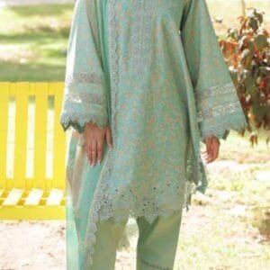 pakistani dress