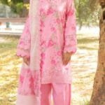 pakistani dress